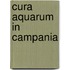 Cura aquarum in Campania
