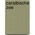 Caraibische Zee