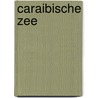 Caraibische Zee door K. Amsler