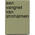 Een vangnet van strohalmen