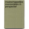 Maatschappelijke vooroordelen in perspectief door P.L.H. Scheepers