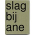 Slag bij Ane