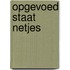 Opgevoed staat netjes