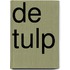 De tulp