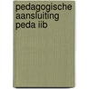 Pedagogische aansluiting peda iib by Unknown