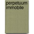 Perpetuum immobile