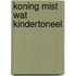 Koning mist wat kindertoneel