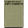 Fundamenten van organisatiebesturing by Balakirsky