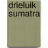 Drieluik Sumatra