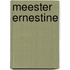Meester Ernestine