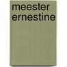 Meester Ernestine door D. Verreydt