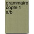 Grammaire copte 1 a/b