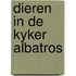 Dieren in de kyker albatros