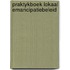 Praktykboek lokaal emancipatiebeleid
