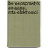 Beroepspraktyk en aansl. mts-elektronici