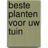 Beste planten voor uw tuin