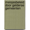 Meisjesbeleid door gelderse gemeenten door Welling
