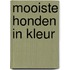 Mooiste honden in kleur