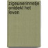 Zigeunerinnetje ontdekt het leven