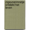 Zigeunerinnetje ontdekt het leven door Kloek
