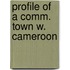 Profile of a comm. town w. cameroon