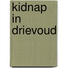 Kidnap in drievoud door Shulman