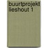 Buurtprojekt lieshout 1