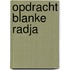 Opdracht blanke radja