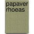 Papaver rhoeas