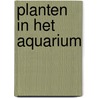 Planten in het aquarium door Hameeteman