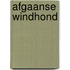 Afgaanse windhond