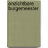 Onzichtbare burgemeester
