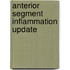 Anterior segment inflammation update
