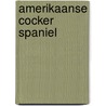 Amerikaanse cocker spaniel by Richard Bouwman