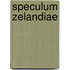 Speculum zelandiae