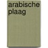 Arabische plaag