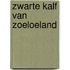 Zwarte kalf van zoeloeland