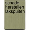 Schade herstellen lakspuiten door Hoogland