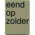 Eend op zolder