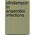 Clindamycin in anaerobic infections