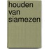 Houden van siamezen