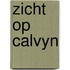 Zicht op calvyn