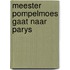 Meester pompelmoes gaat naar parys
