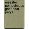 Meester pompelmoes gaat naar parys by Andreus