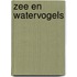 Zee en watervogels