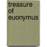 Treasure of euonymus