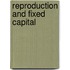 Reproduction and fixed capital