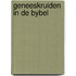 Geneeskruiden in de bybel