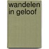Wandelen in geloof