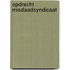 Opdracht misdaadsyndicaat